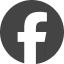 Online 4. Ege Ekonomik Forum