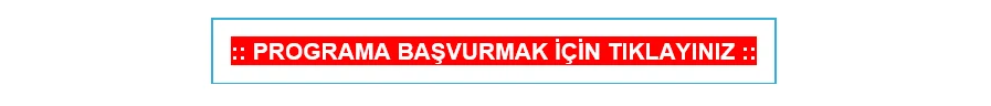 İşletmeler için Dijital Öğrenme Programı