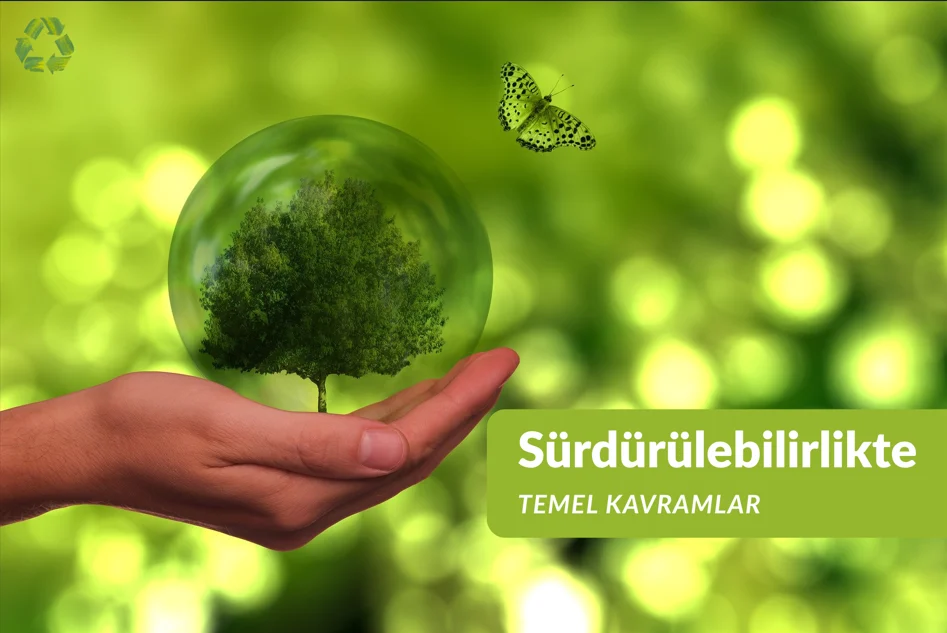 Sürdürülebilirlikte Temel Kavramlar Webinarı